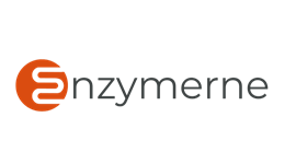 Enzymerne